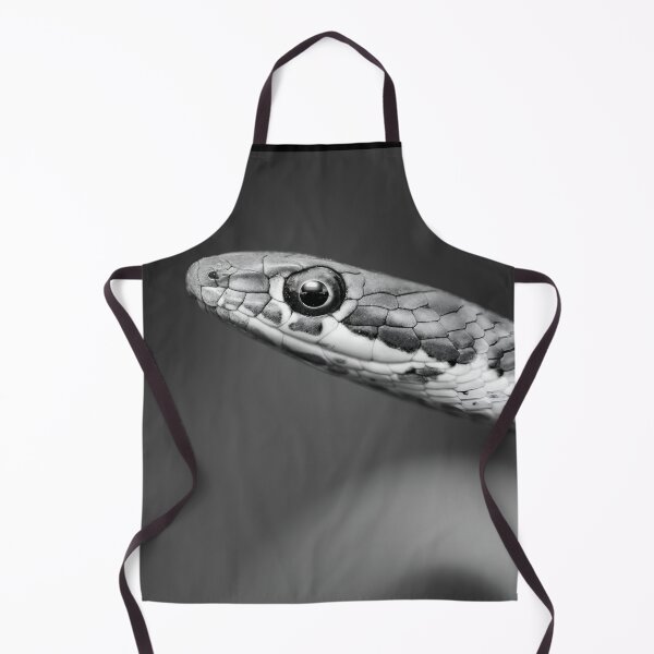 Item preview, Karoo Sand Snake (Psammophis notostictus) designed and sold by Pixel Press Prints.
