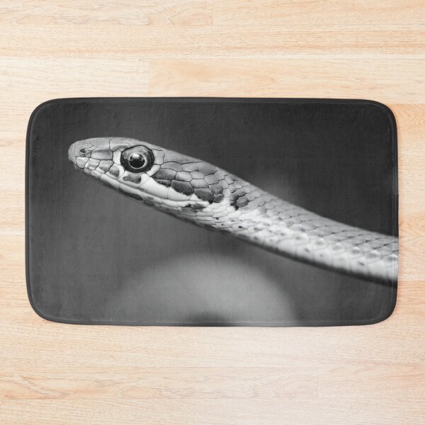 Item preview, Karoo Sand Snake (Psammophis notostictus) designed and sold by Pixel Press Prints.