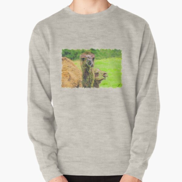 camel colored sweatshirt