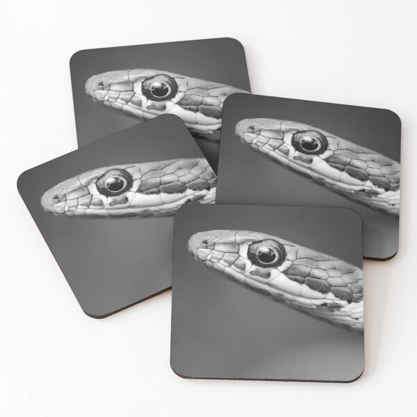 Item preview, Karoo Sand Snake (Psammophis notostictus) designed and sold by Pixel Press Prints.