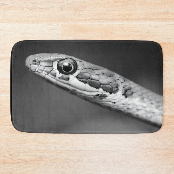Item preview, Karoo Sand Snake (Psammophis notostictus) designed and sold by Pixel Press Prints.