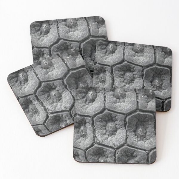 Artikelvorschau, Hexagonale Harmonie – Makro-Sukkulententextur entworfen und verkauft von Pixel Press Prints.