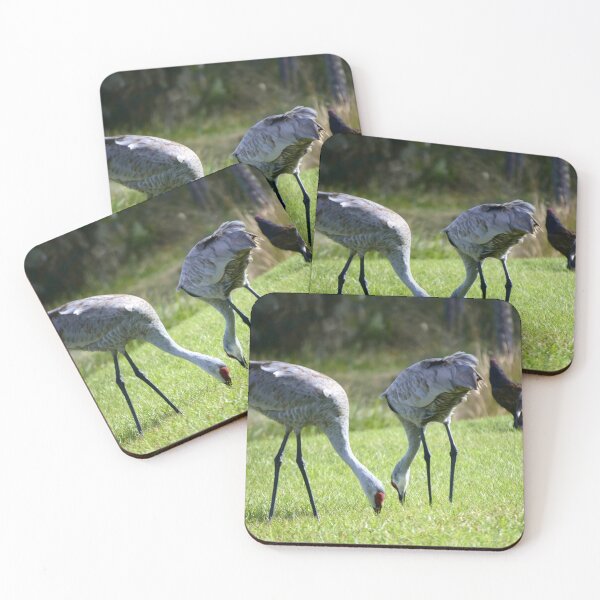 Item preview, Sandhill Cranes At Orlando Wetlands Park  designed and sold by MercerImages.