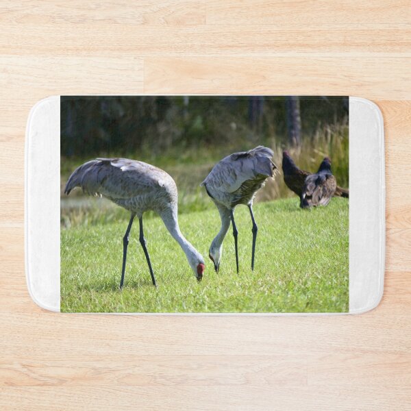 Item preview, Sandhill Cranes At Orlando Wetlands Park  designed and sold by MercerImages.