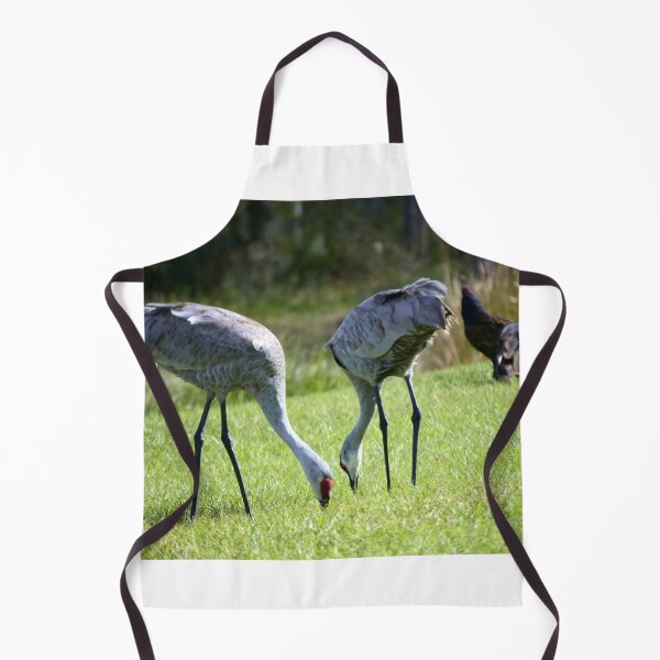 Item preview, Sandhill Cranes At Orlando Wetlands Park designed and sold by MercerImages.
