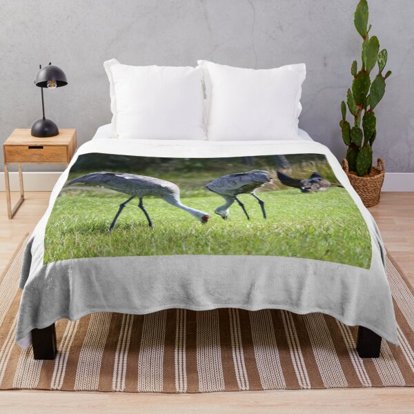 Item preview, Sandhill Cranes At Orlando Wetlands Park  designed and sold by MercerImages.