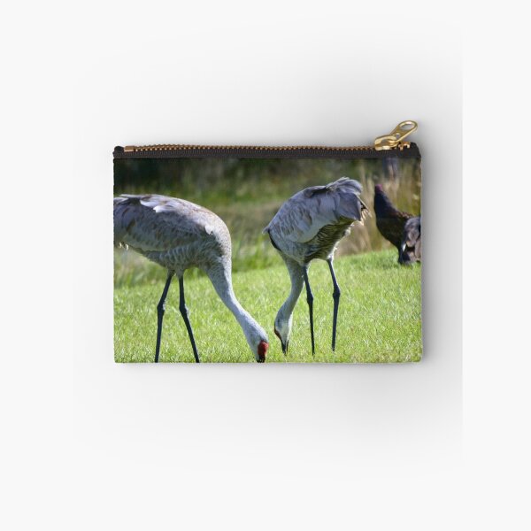 Item preview, Sandhill Cranes At Orlando Wetlands Park  designed and sold by MercerImages.