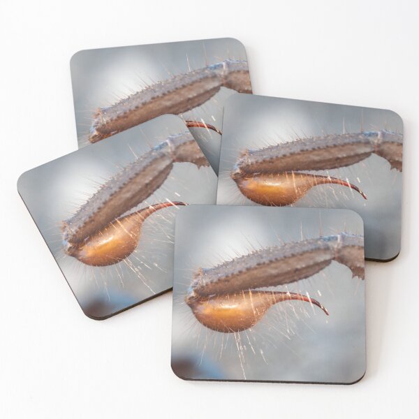 Item preview, Scorpion Stinger designed and sold by Pixel Press Prints.