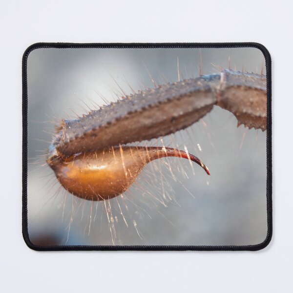 Item preview, Scorpion Stinger designed and sold by Pixel Press Prints.