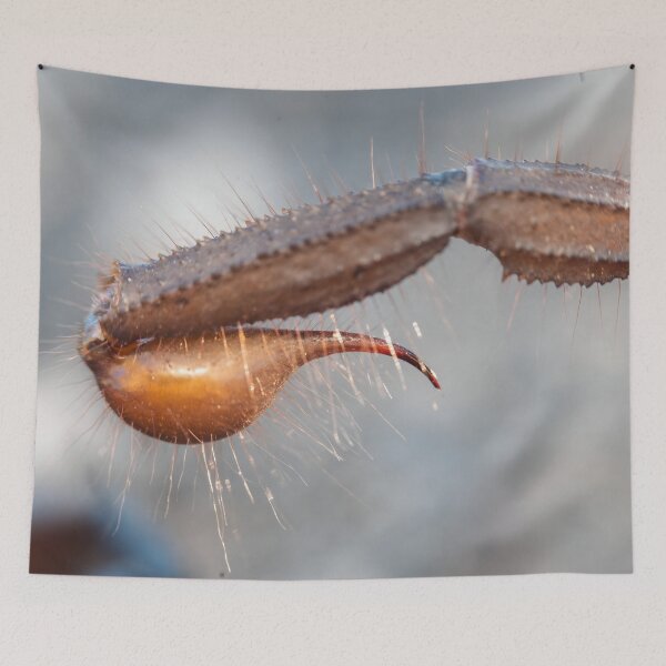 Item preview, Scorpion Stinger designed and sold by Pixel Press Prints.