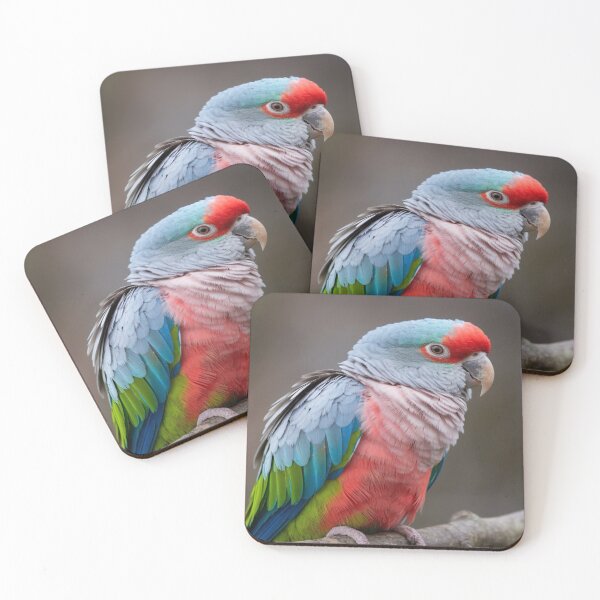 Item preview, Portraits Détails de Perroquets designed and sold by Collection de trésors .