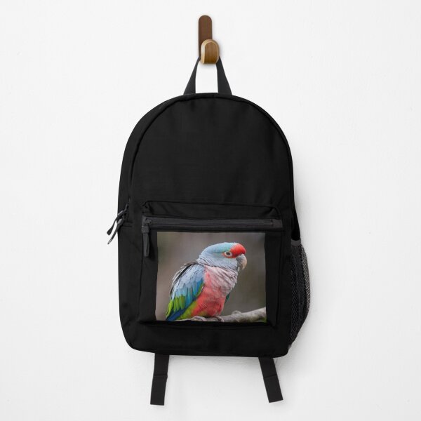 Item preview, Portraits Détails de Perroquets designed and sold by Collection de trésors .