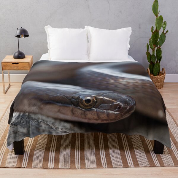 Item preview, Brown Water Snake (Lycodonomorphus rufulus) designed and sold by Pixel Press Prints.