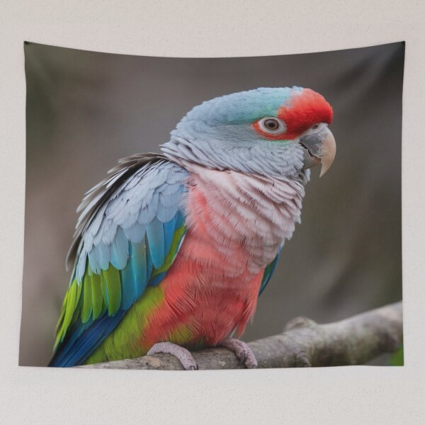 Item preview, Parrot Portraits Details designed and sold by Collection de trésors .