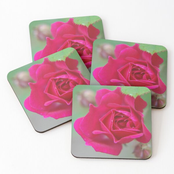 Item preview, Fluid Nature - Budding Rose - Garden Photography designed and sold by vmajzlik.