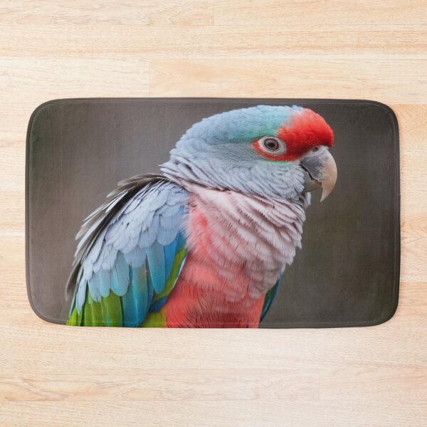 Item preview, Parrot Portraits Details designed and sold by Collection de trésors .