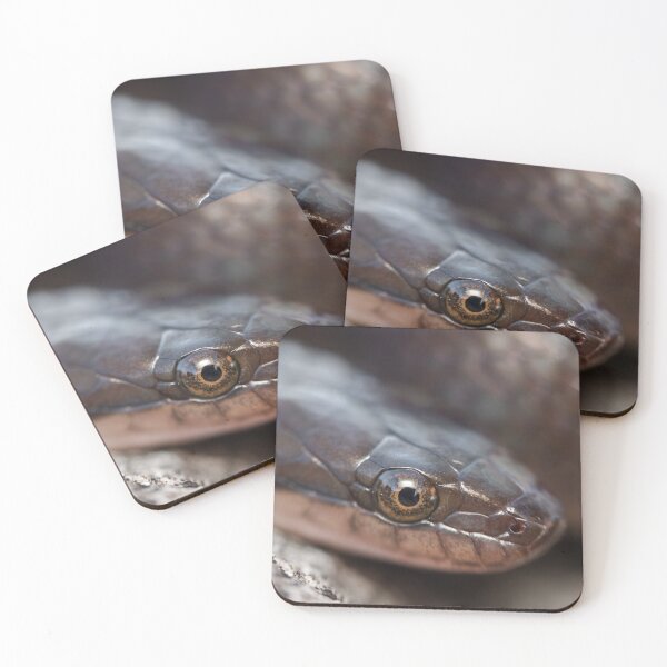 Item preview, Brown Water Snake (Lycodonomorphus rufulus) designed and sold by Pixel Press Prints.