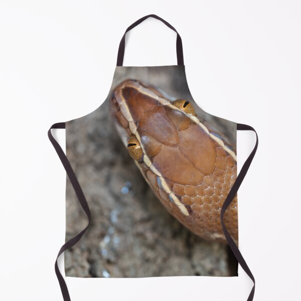 Item preview, Brown House Snake (Boaedon mentalis) designed and sold by Pixel Press Prints.
