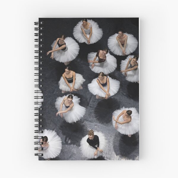 Item preview, Swan lake designed and sold by Myrtha & co. .