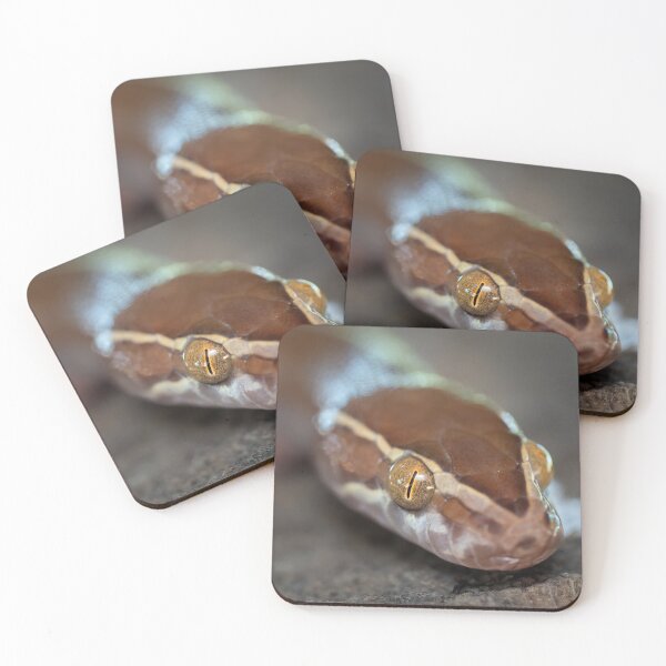 Item preview, Brown House Snake (Boaedon mentalis) designed and sold by Pixel Press Prints.