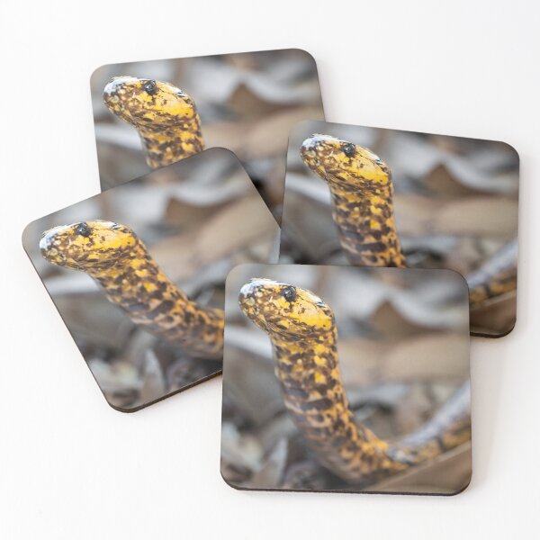 Item preview, Cape Cobra (Naja nivea) designed and sold by Pixel Press Prints.
