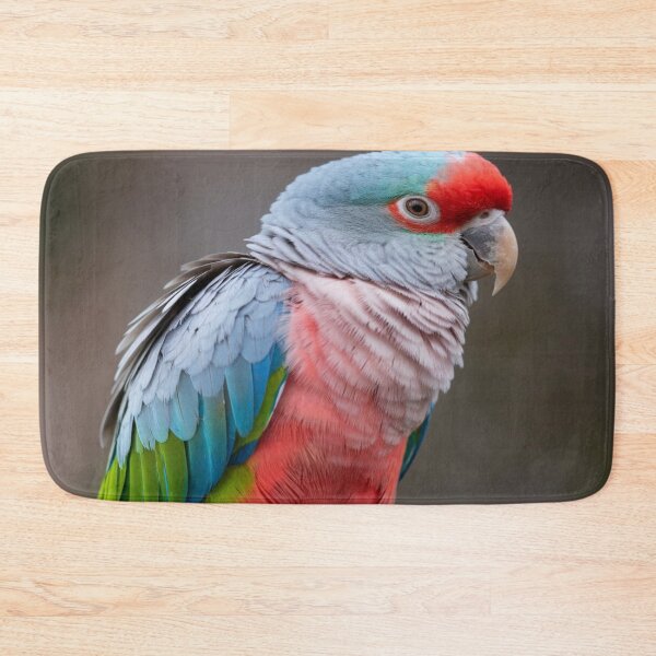 Item preview, Retratos Detalles de Loros designed and sold by Collection de trésors .