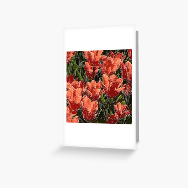 red tulips white lines Greeting Card