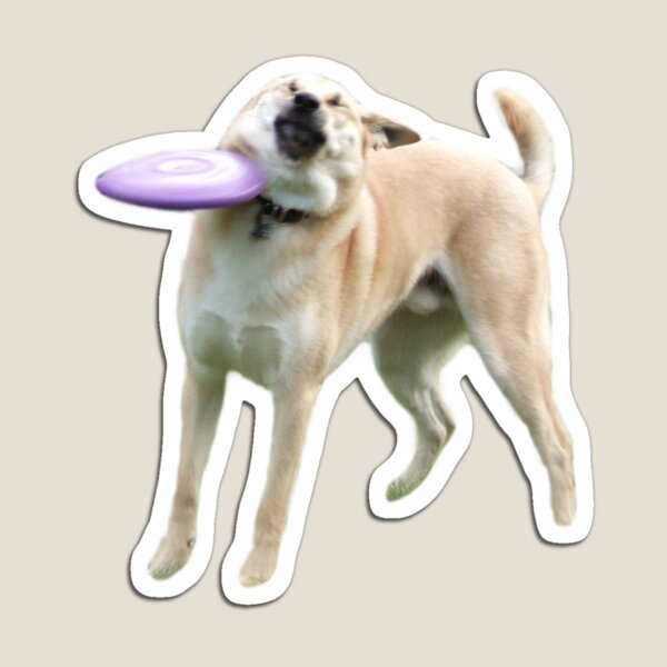 Item preview, Frisbee Dog designed and sold by Elisecv.