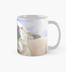 Frisbee Dog, Doggo #4 Classic Mug