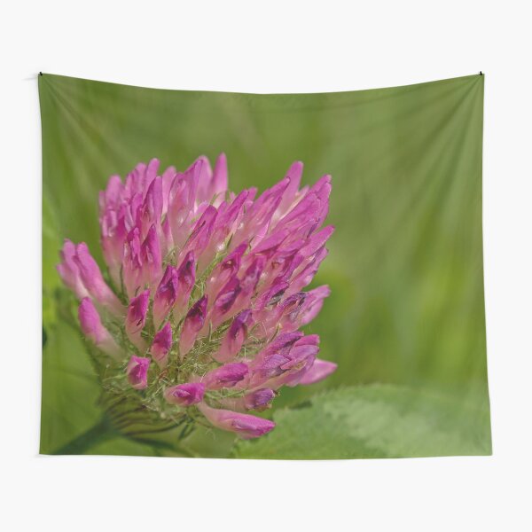 Bright purple clover flower macro Tapestry