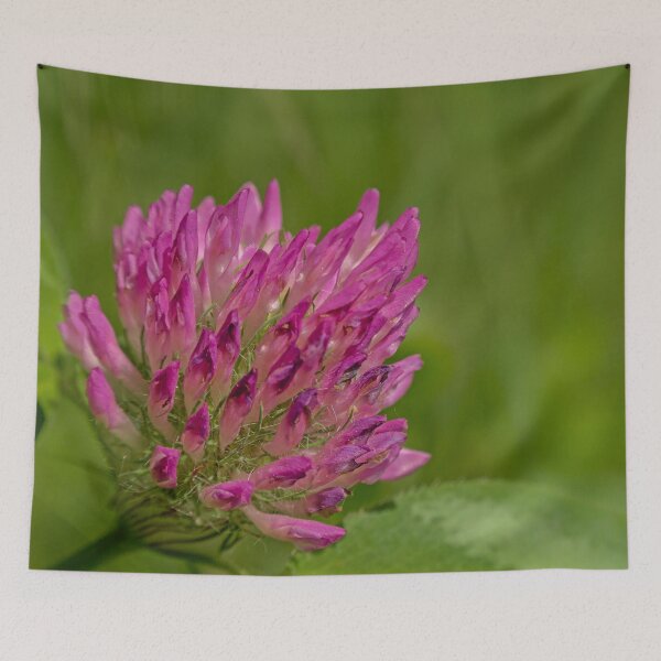 Item preview, Bright purple clover flower macro designed and sold by xophotography.