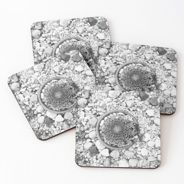 Item preview, Cactus in Pebbles - Black and White designed and sold by anafrancisconi.