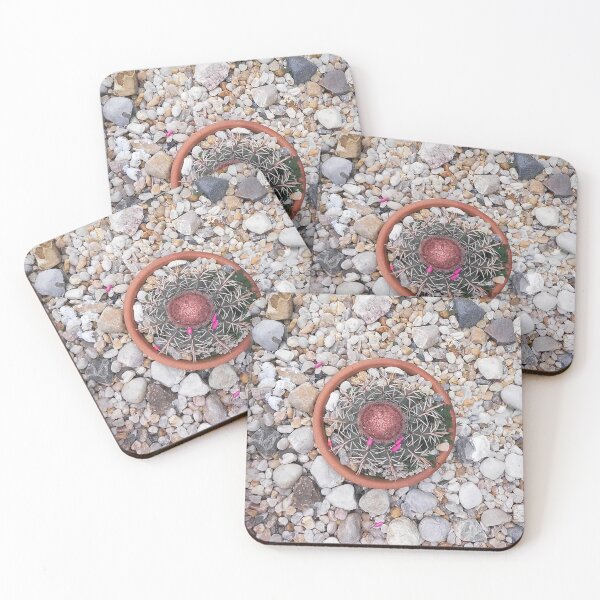 Item preview, Cactus in Pebbles designed and sold by anafrancisconi.
