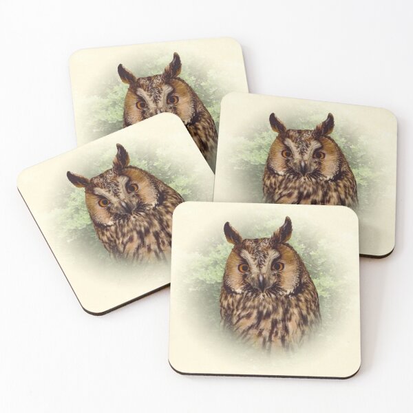 Item preview, Long-eared owl designed and sold by Guardi71.