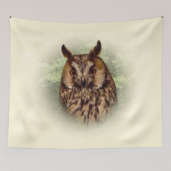 Item preview, Long-eared owl designed and sold by Guardi71.
