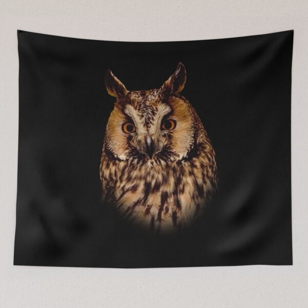 Item preview, Long-eared owl designed and sold by Guardi71.