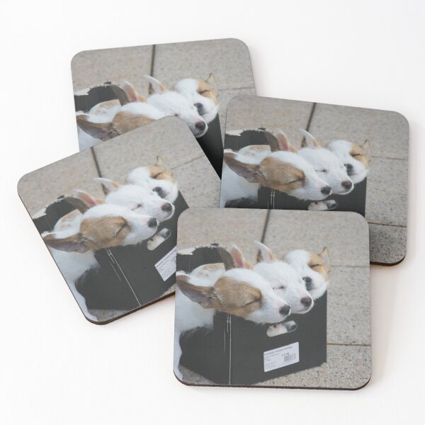 Item preview, Cachorros en caja designed and sold by DannImages.