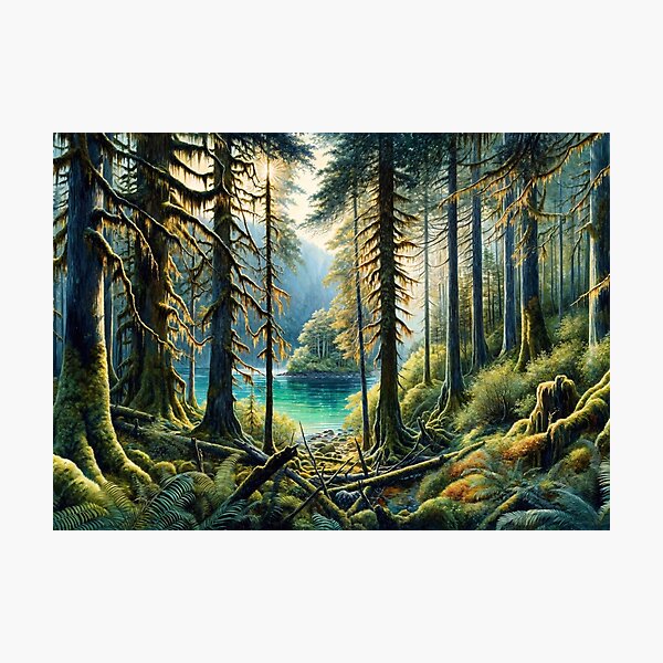 Item preview, Old Growth Forest designed and sold by M-Y-A-R-T-.