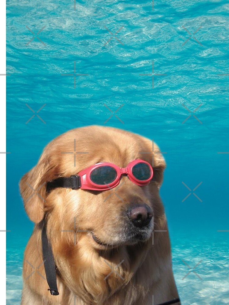 Swimmer Dog by Elisecv