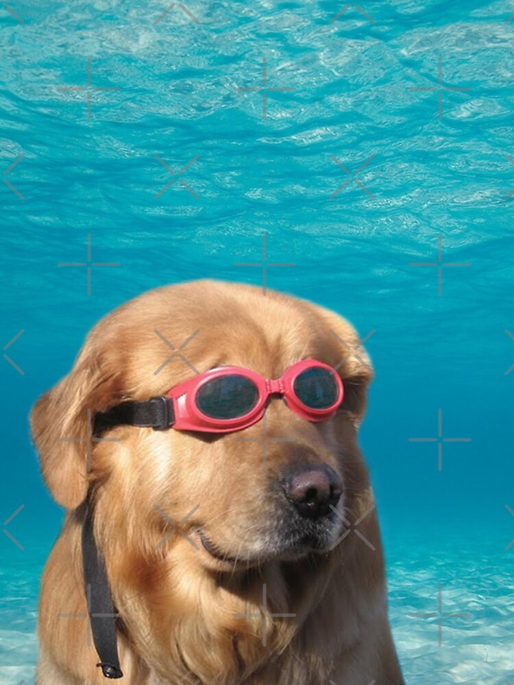 Swimmer Dog by Elisecv