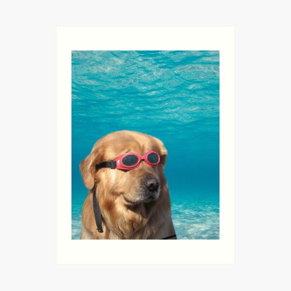 Swimmer Dog Art Print