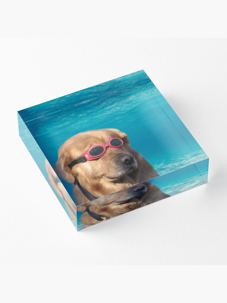 Alternate view of Swimmer Dog Acrylic Block