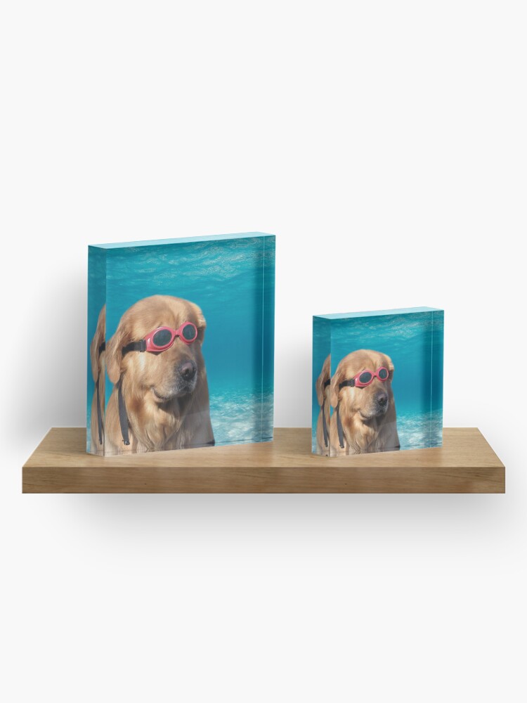Alternate view of Swimmer Dog Acrylic Block