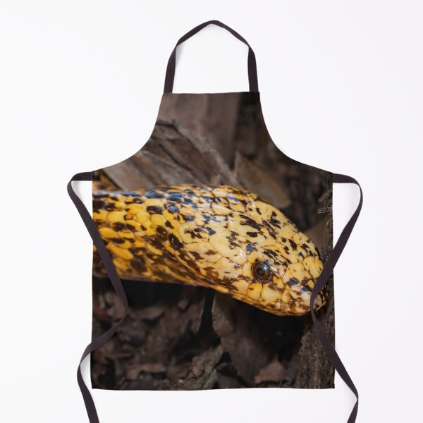 Item preview, Cape Cobra (Naja nivea) designed and sold by Pixel Press Prints.