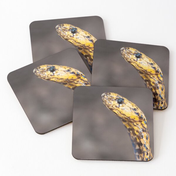 Item preview, Cape Cobra (Naja nivea) designed and sold by Pixel Press Prints.