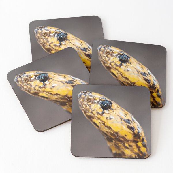 Item preview, Cape Cobra (Naja nivea) designed and sold by Pixel Press Prints.