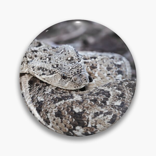 Item preview, Puff Adder (Bitis arietans) designed and sold by Pixel Press Prints.