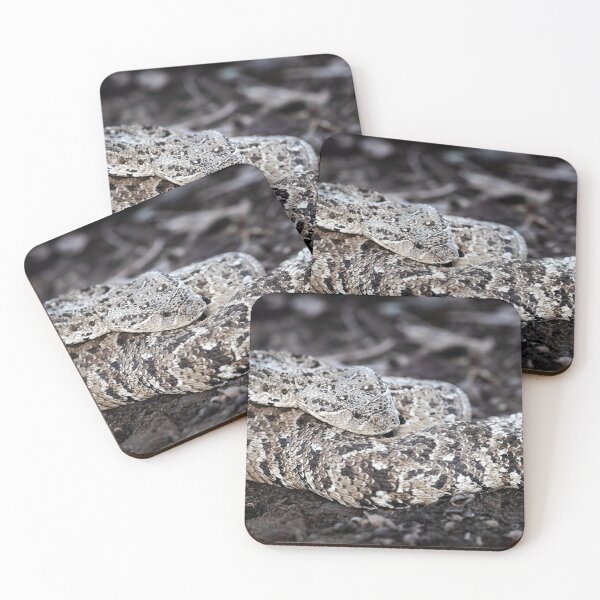 Item preview, Puff Adder (Bitis arietans) designed and sold by Pixel Press Prints.