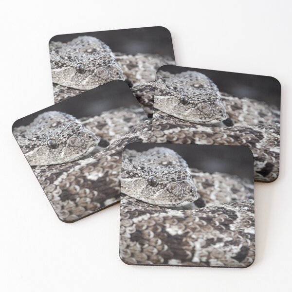 Item preview, Puff Adder (Bitis arietans) designed and sold by Pixel Press Prints.