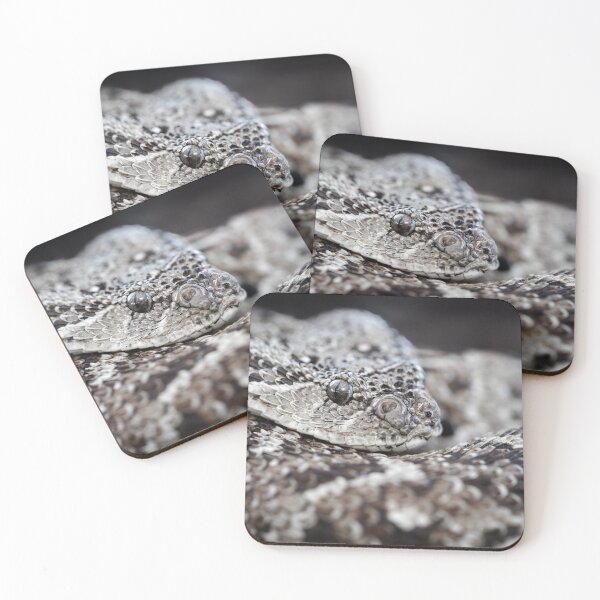 Item preview, Puff Adder (Bitis arietans) designed and sold by Pixel Press Prints.